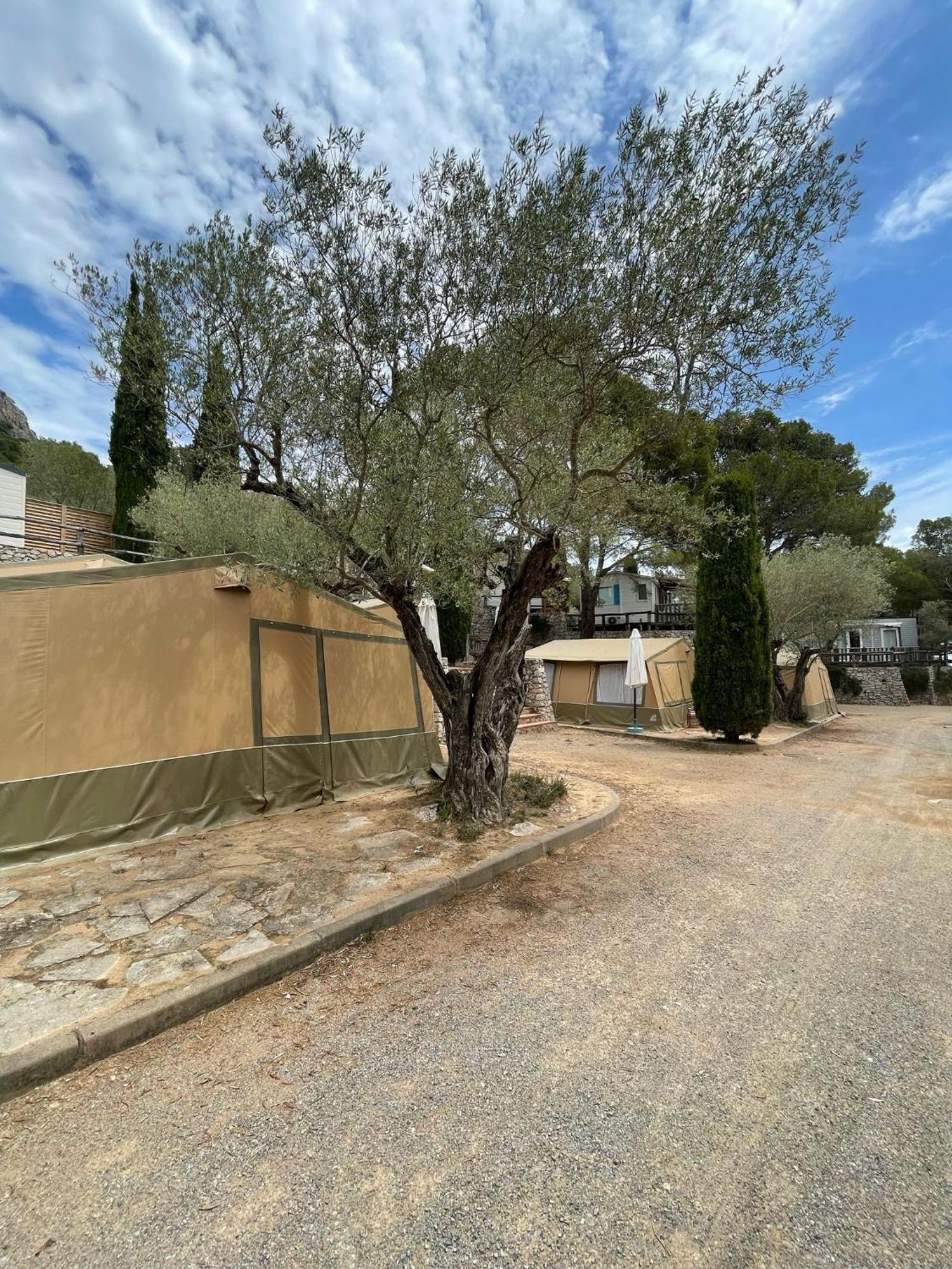 Camping Castell Montgri **** L'Estartit Exteriör bild